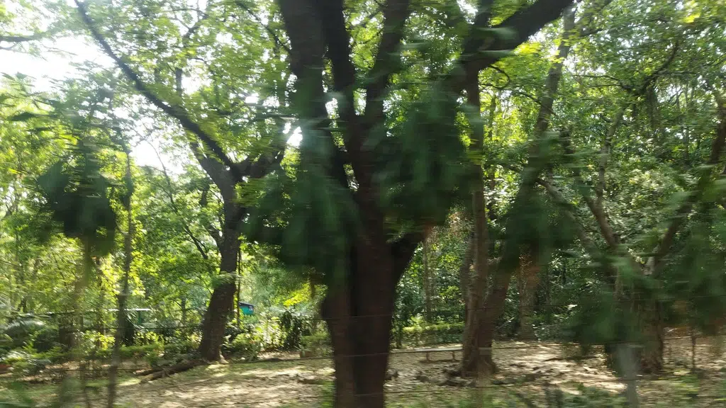 SPPU Edutech Foundation