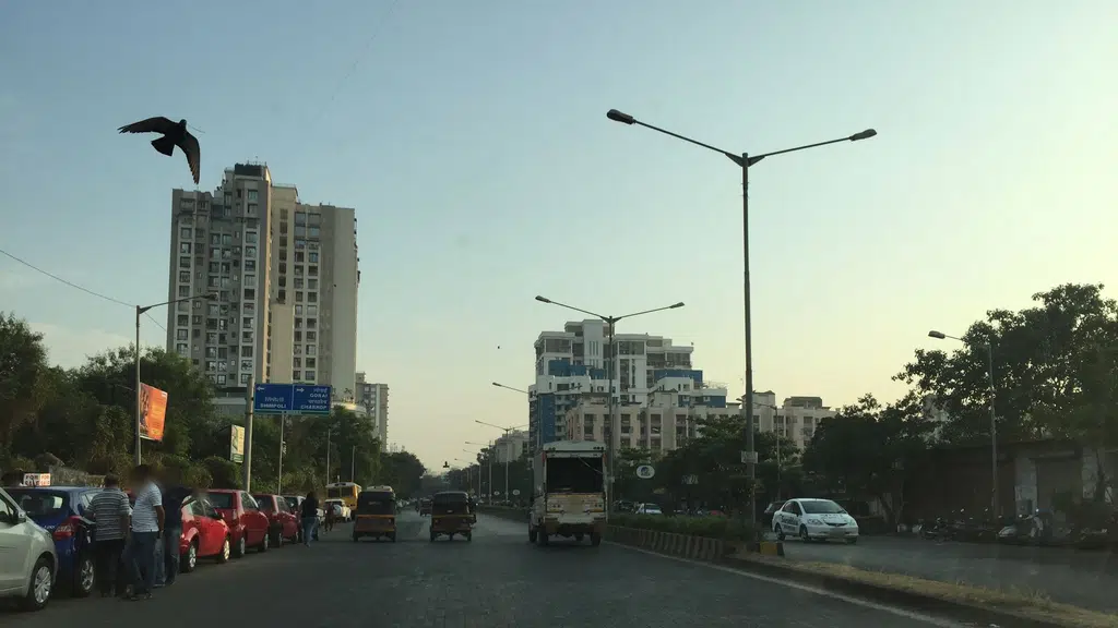 Maharashtra Plywood
