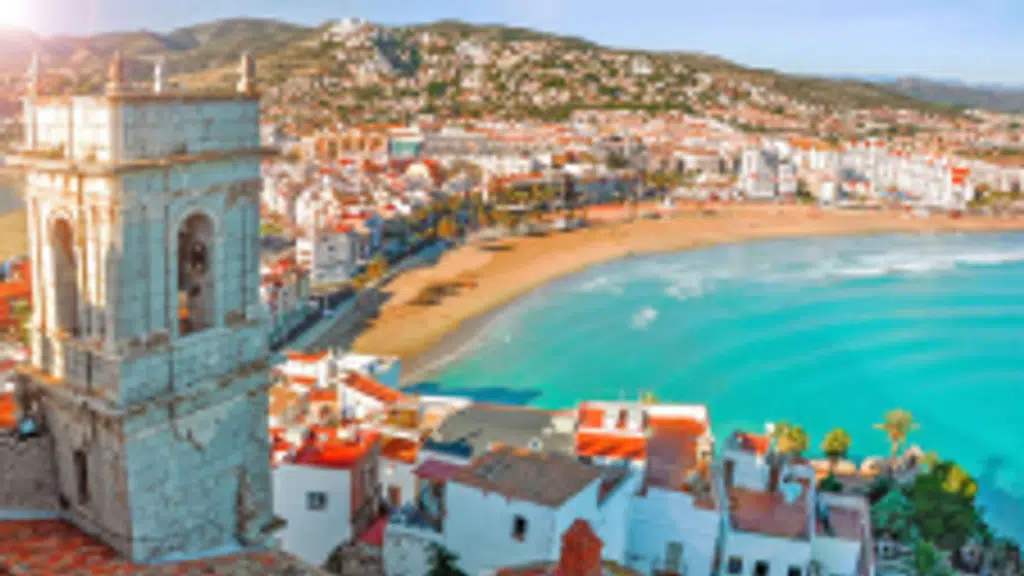 DMI Study Abroad Consultant