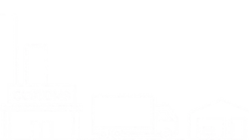 Live IMPEX - Customs Compliance Simplified