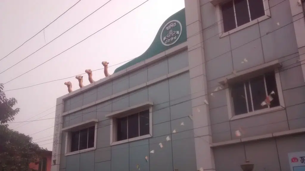 Rowdy momo cafe Barasat