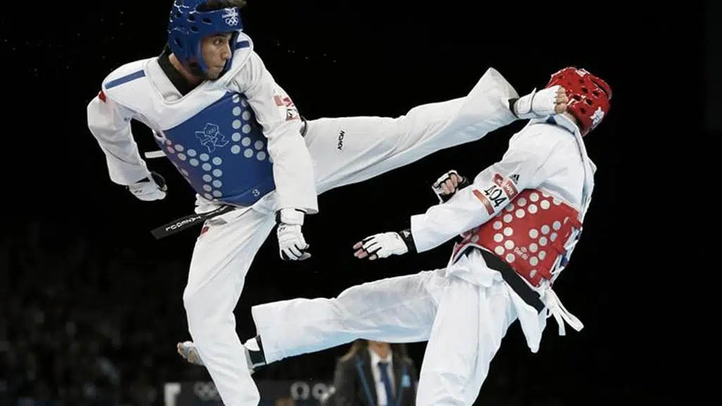 Perfect Taekwondo Academy