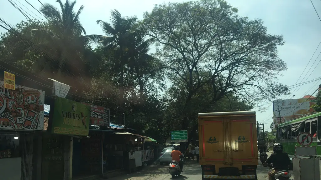 Sree Narayana Dharma Patipalam Yoga Centre