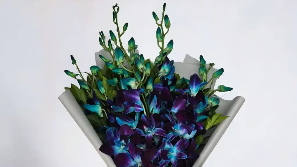 Myflorist