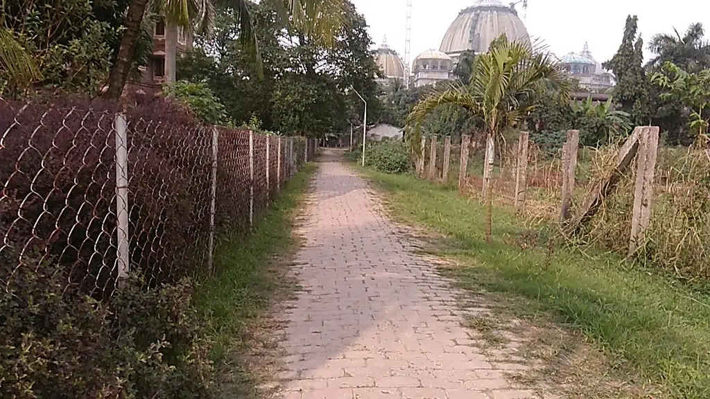 Mayapur MATKA Biryani