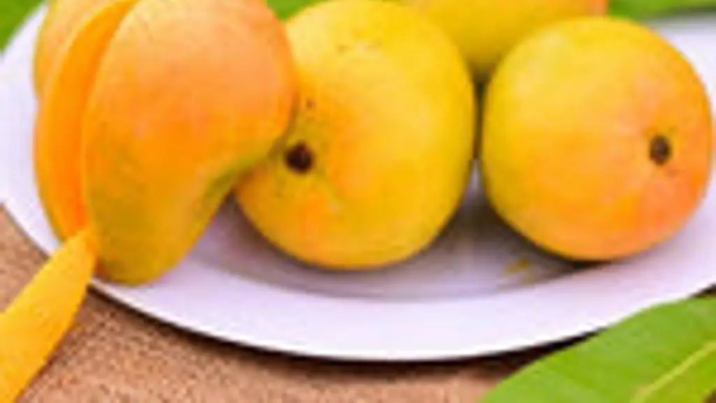 Tredy Foods