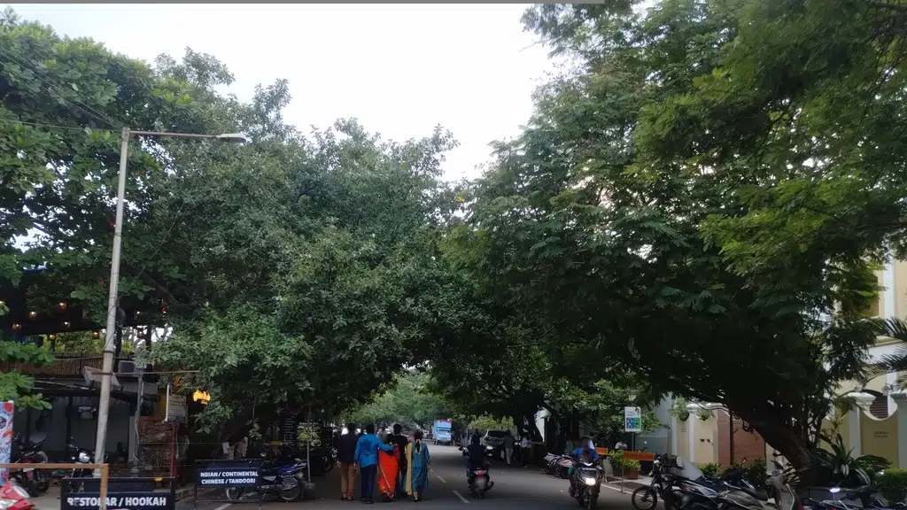 The Hidden garden Cafe