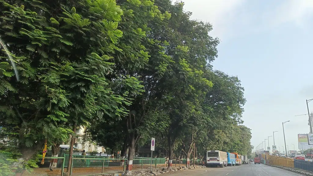 Bhanjiwadi Apartment
