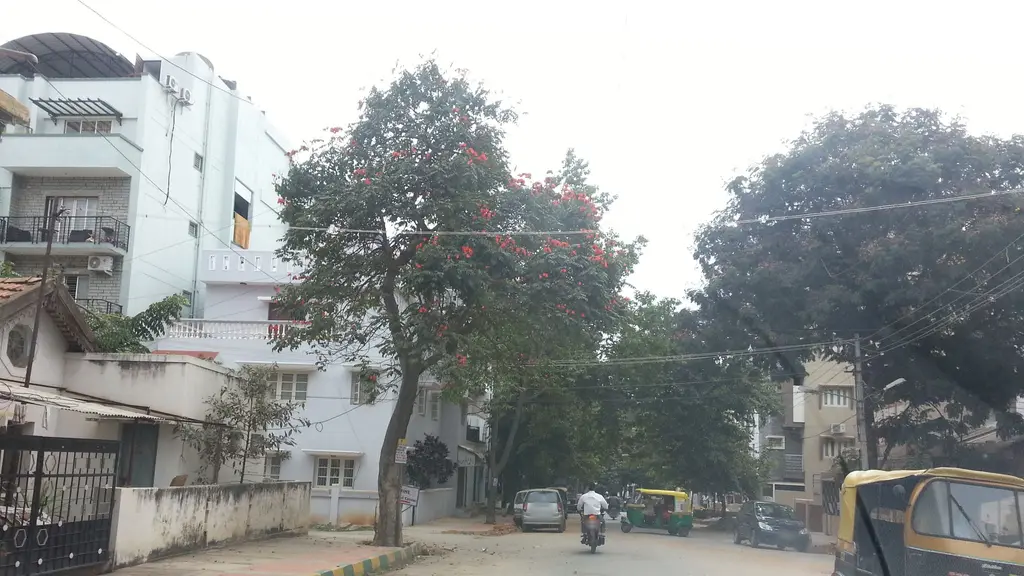 UCO Bank