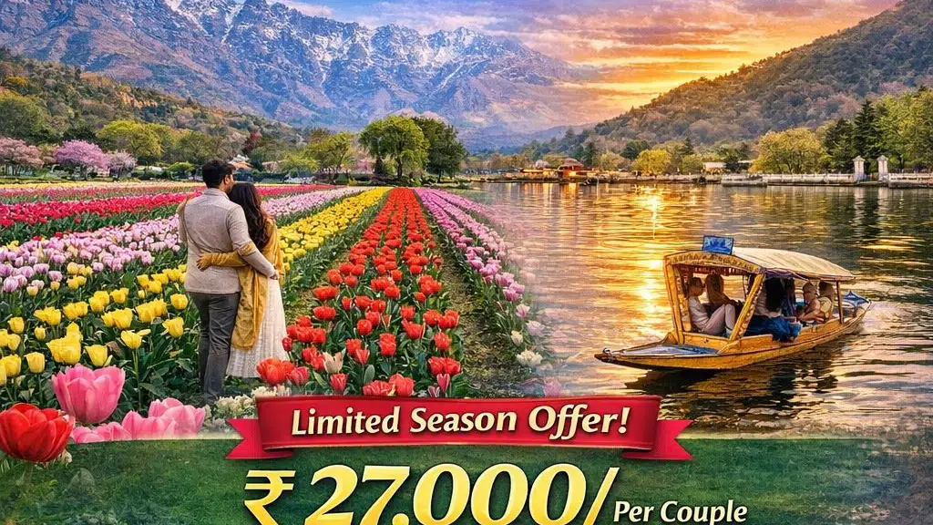 Aashish Tour and Travels