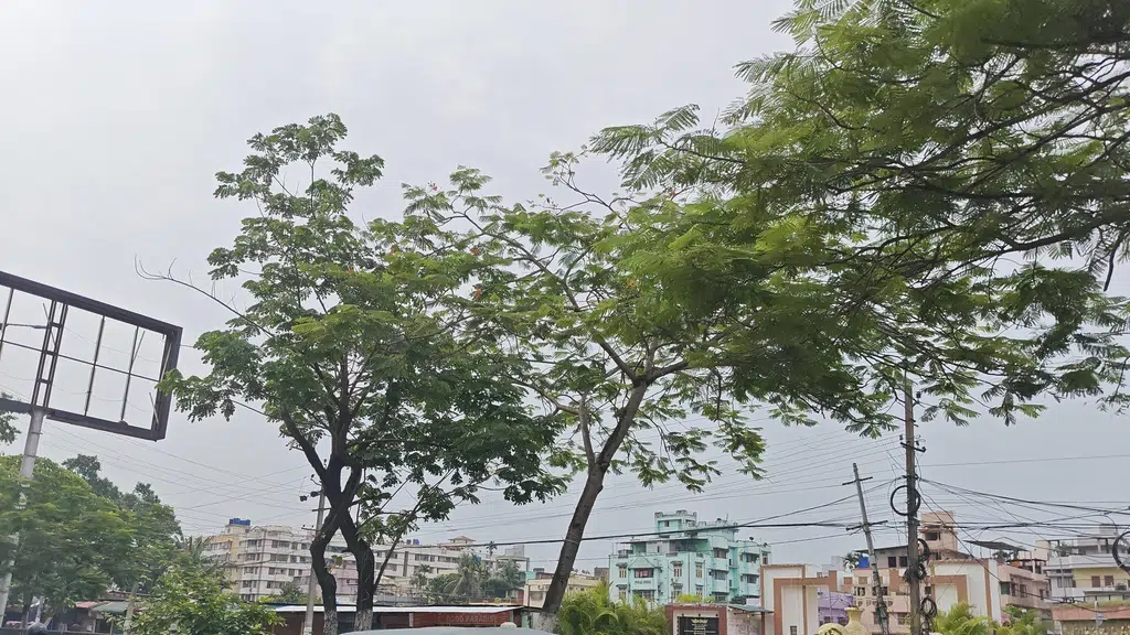 Atal Udyan(Adabari Park)