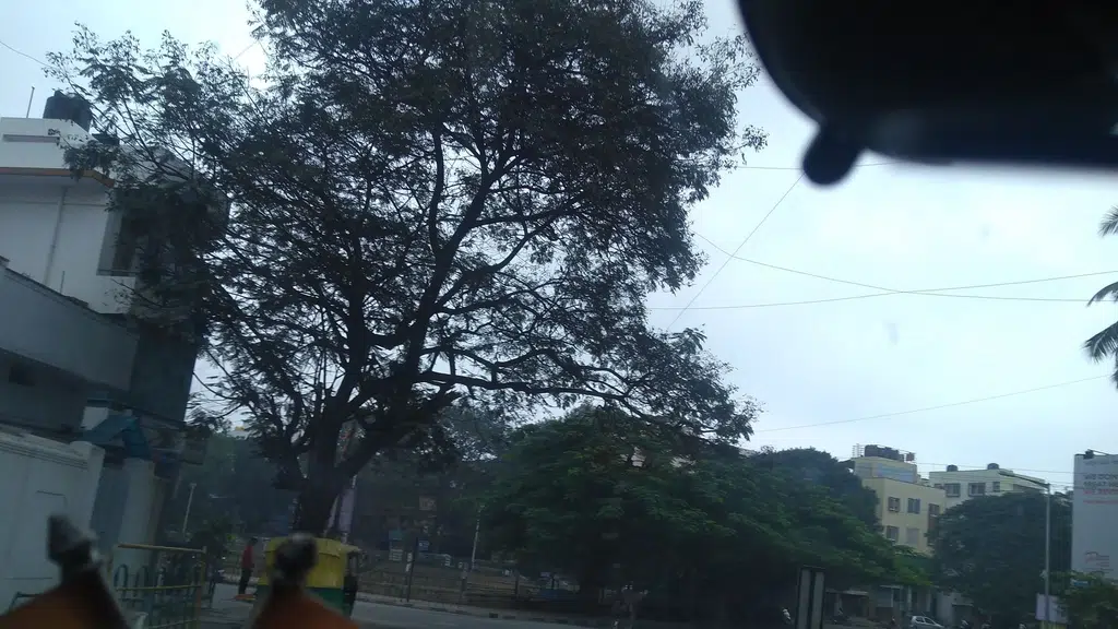 Kodaikanal Tourism