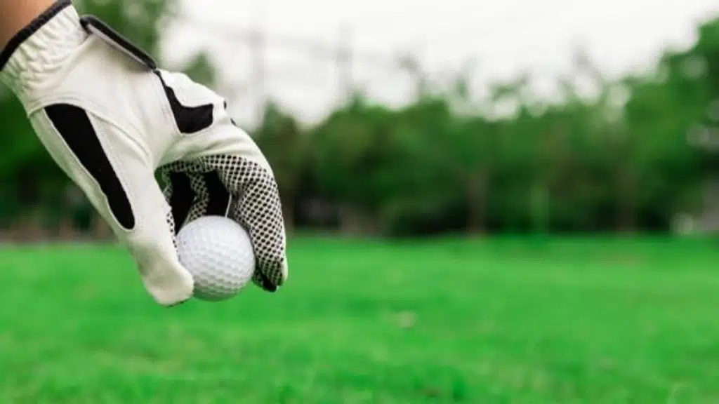 Alert Golf Management Services