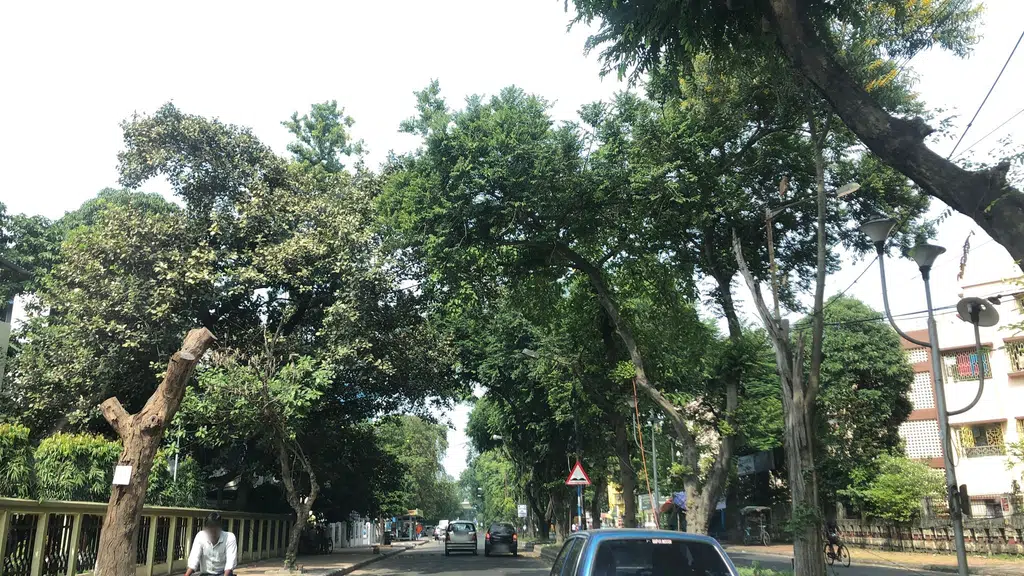 Labony Estate E Block
