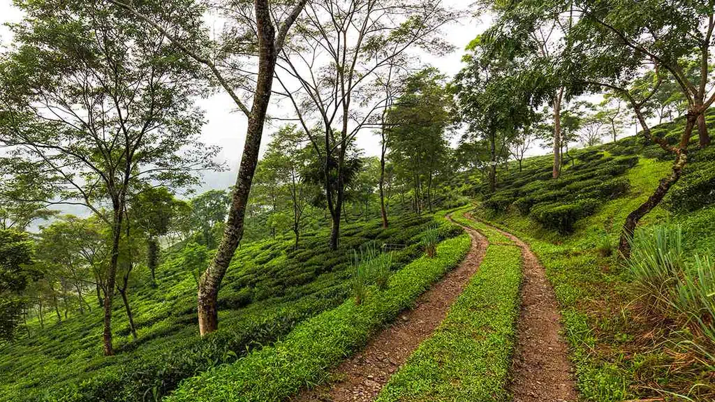 Trail Blazer Tours India Pvt Ltd