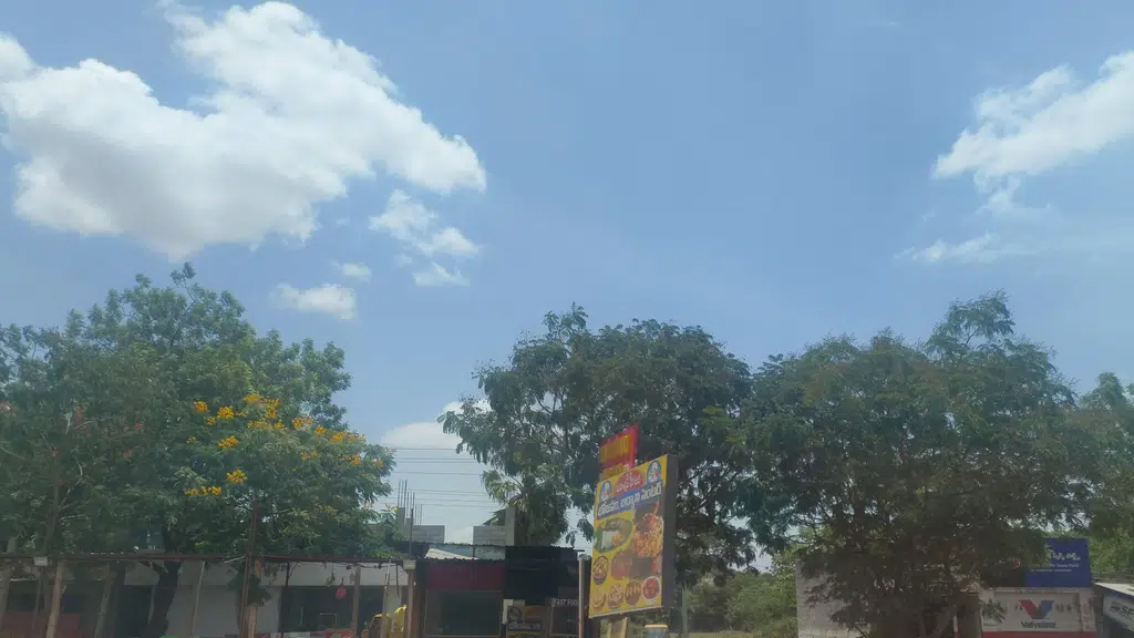 Maheshwari Hotel and Dhaba