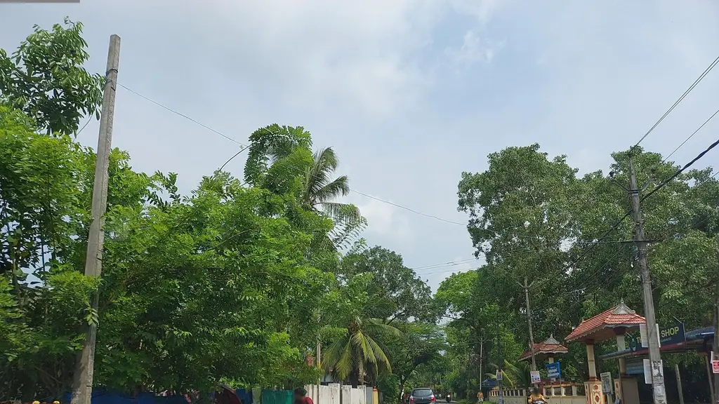 Alekadu Sree Dharma Deiva Temple