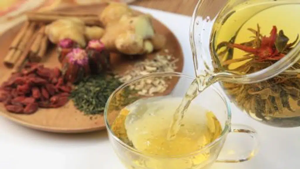 Shree Herbal Health Care