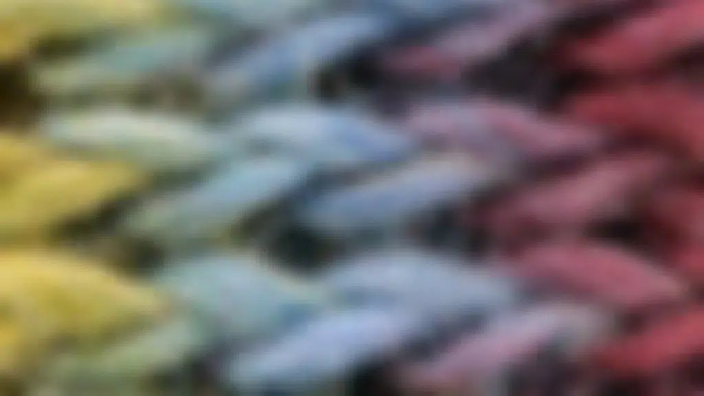 Parneet Textiles Pvt. Ltd.