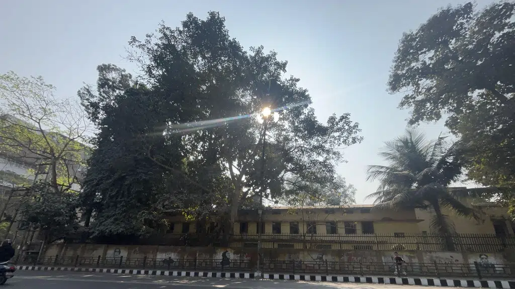 DGP Bungalow