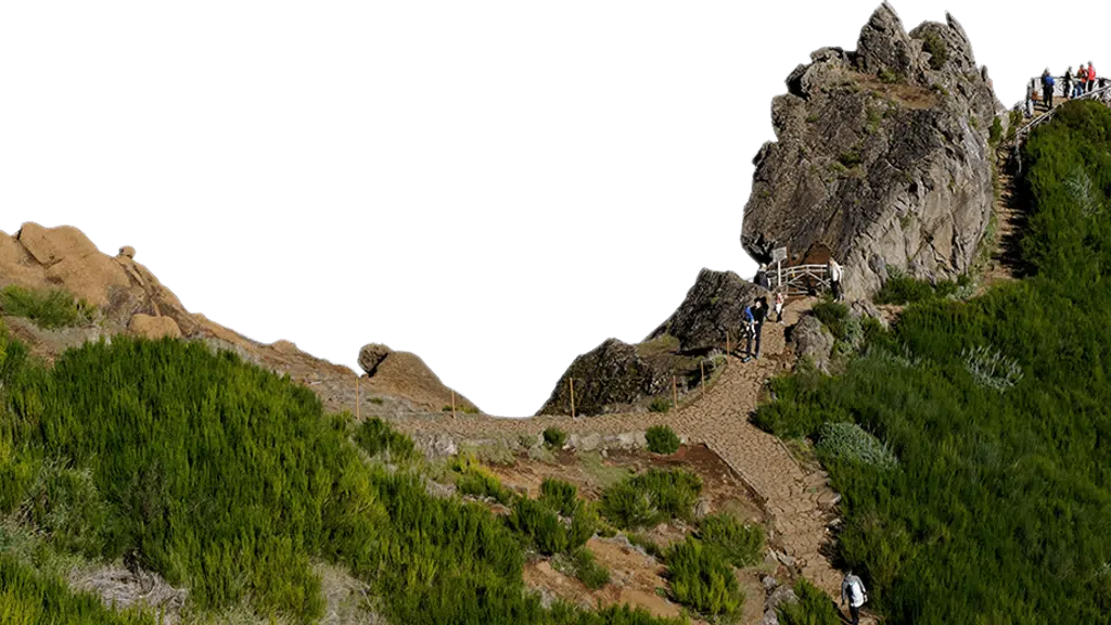 Trek N Ride India