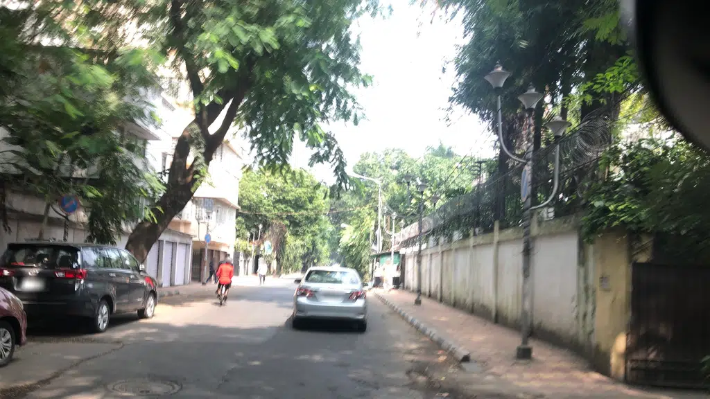 Progress Institute