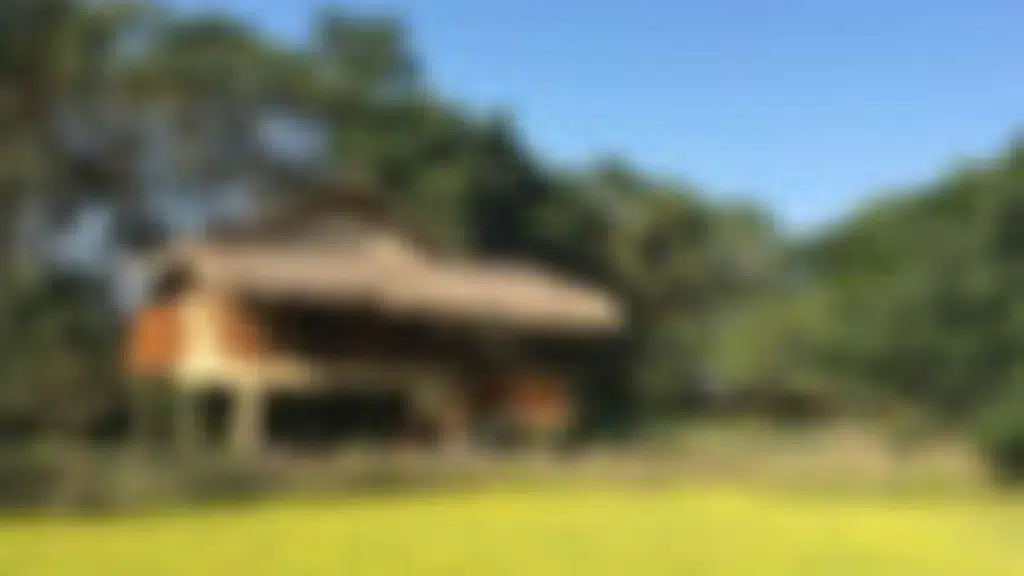 Diphlu River Lodge