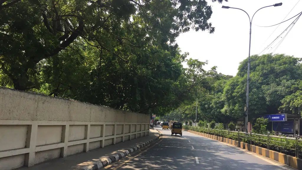 Adyar Poonga River Restoration Park