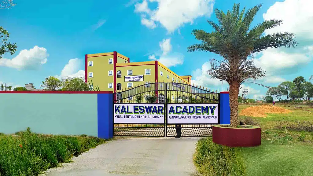 Kaleswar Academy