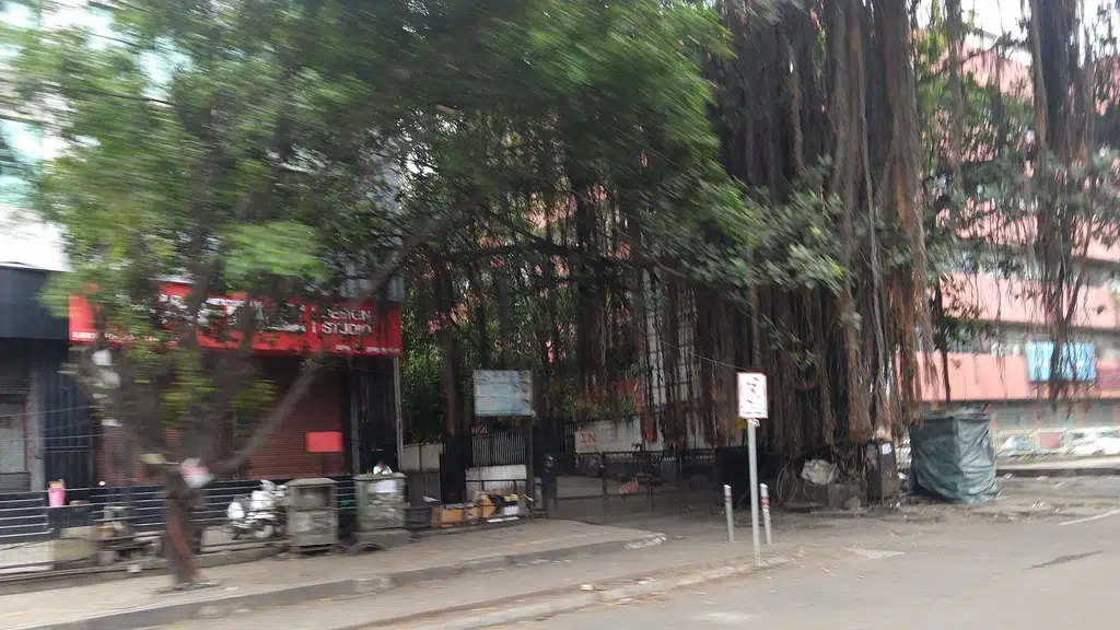 Employees State Insurance Corporation