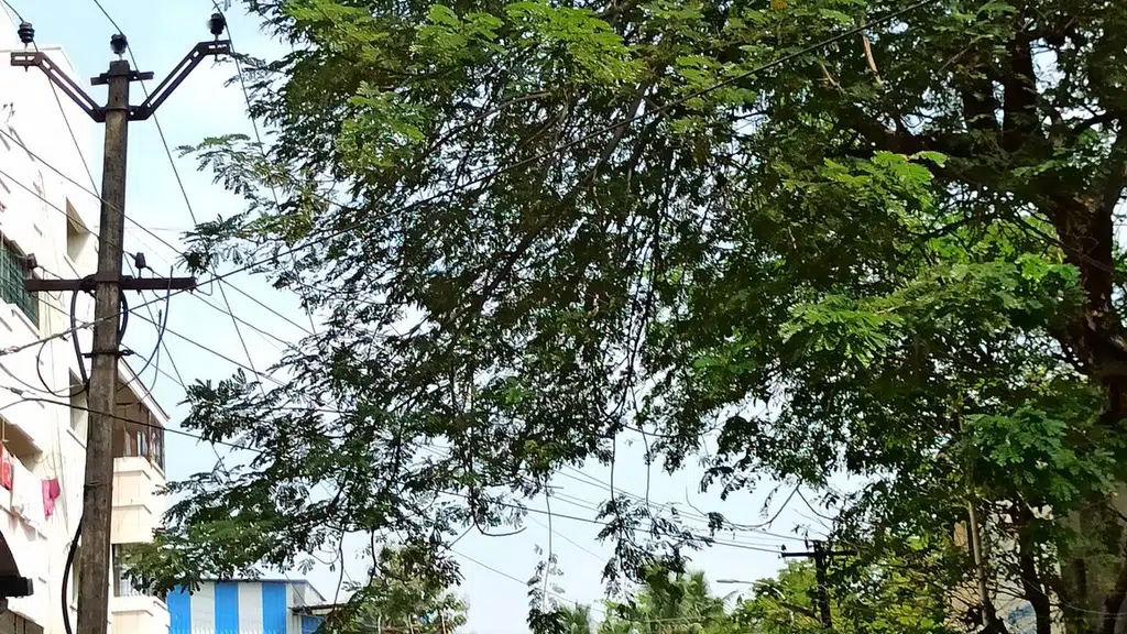 Chellammal Senior Secondary School