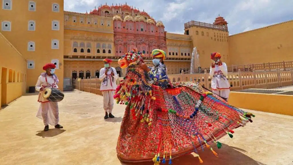 Bagh Travels Ranthambhore