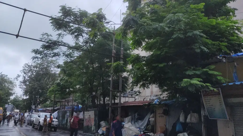 Hotel Sharda