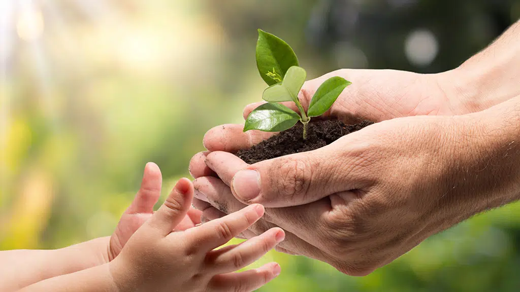 Varsha Financial Services