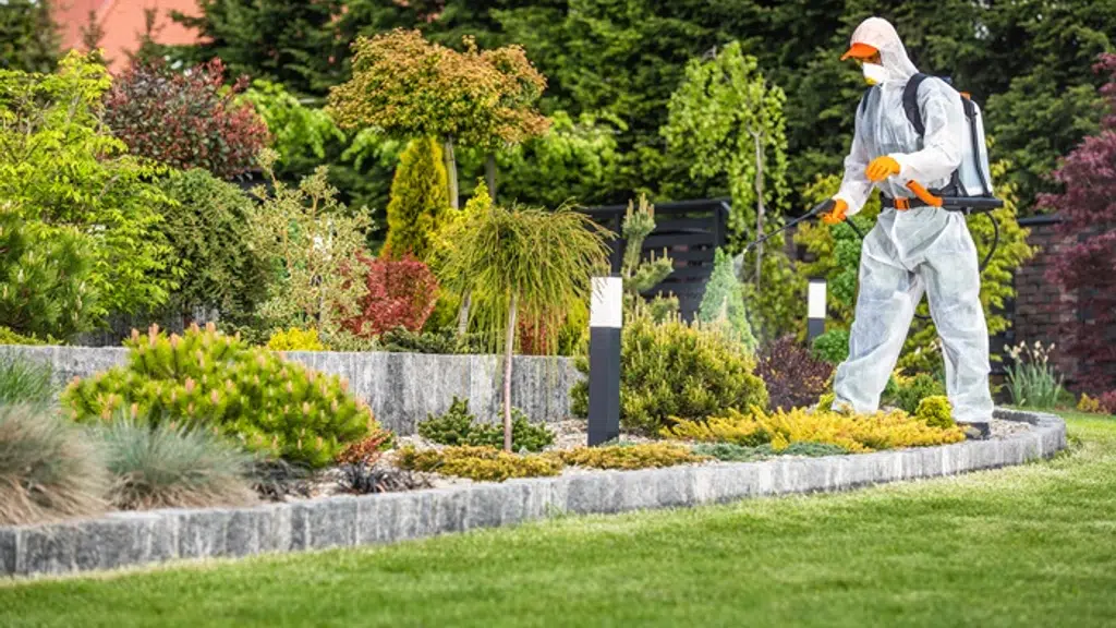 Envocare Pest Control Services