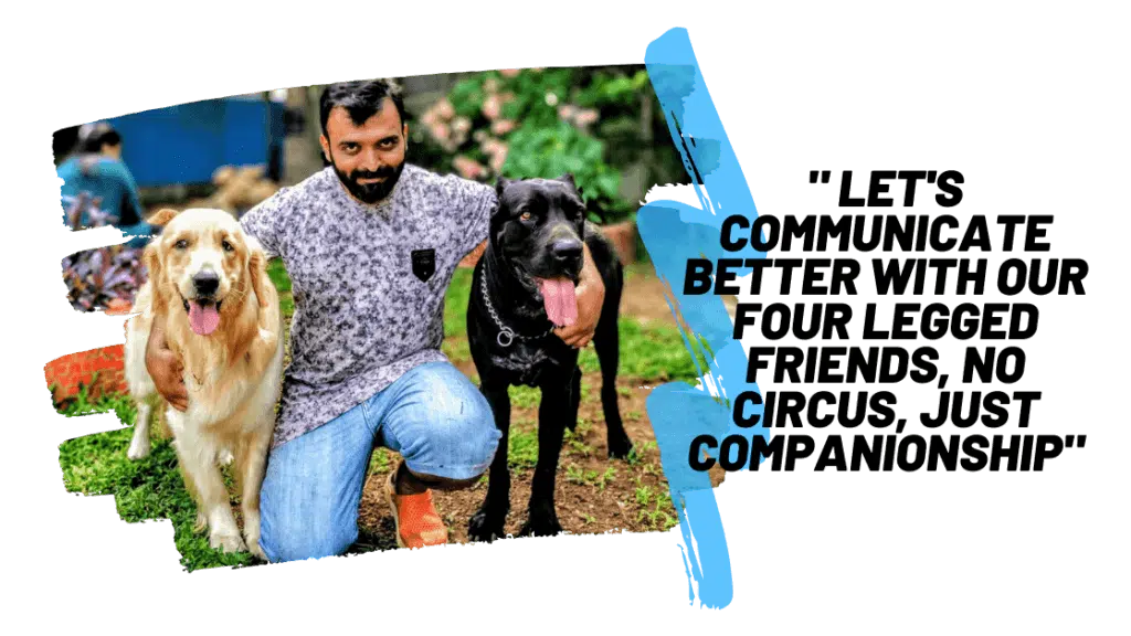 K9Nick Dog Resort