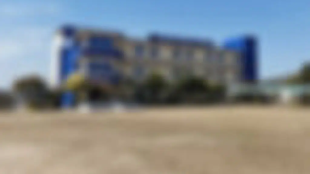 Baluni Public School