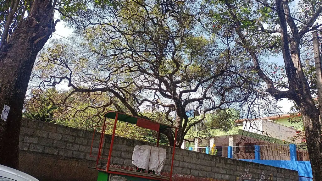 Sri Sai Party Hall