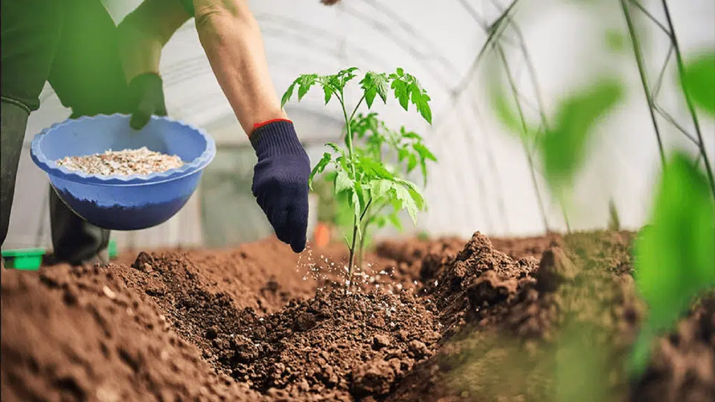 Vibhuti Agro Chemical and Fertilizer