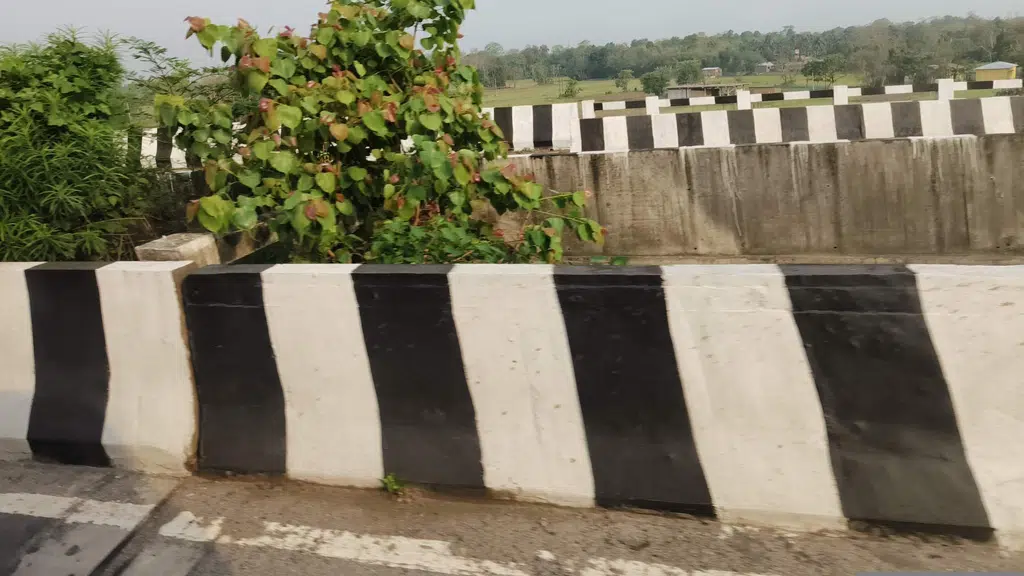 Panikhati, Nagaon, Assam. পানীখাতি