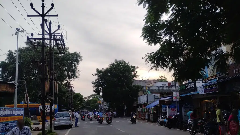 Buds and Blooms