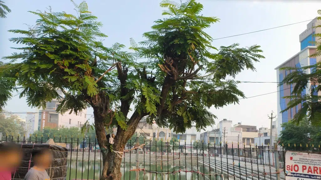 Hotel Prakash Park