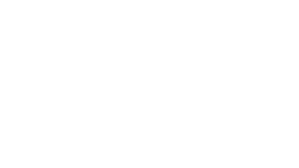 The Designo International