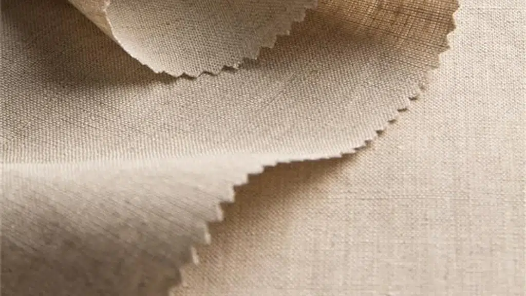 Paras Fabrics