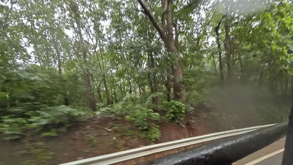 Jenukallu Gudda-Bedti River Valley, Yellapur