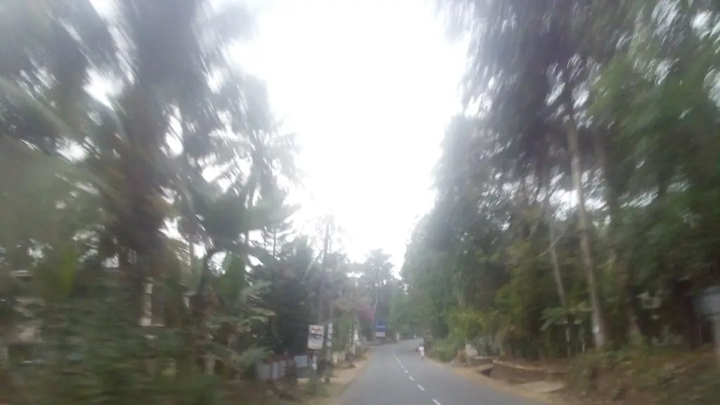 Chavara CMI International School Amanakara