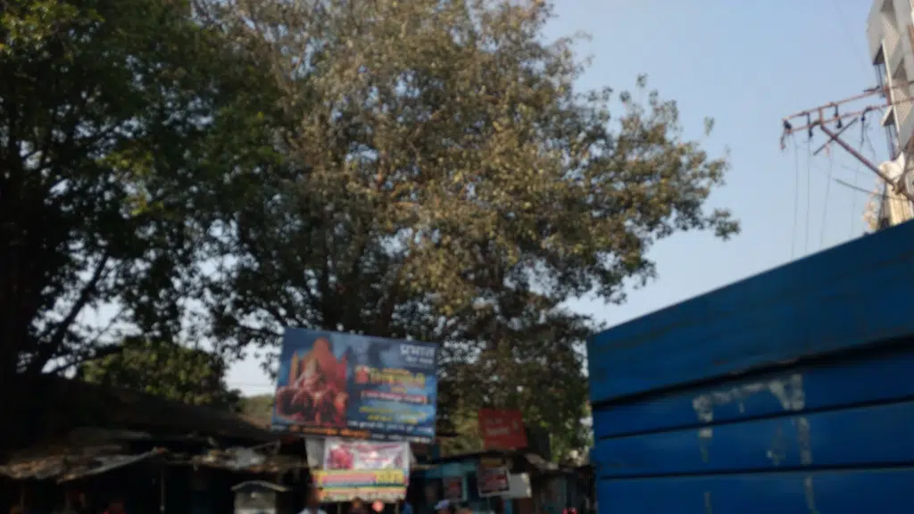 Dilip Cycle Mart
