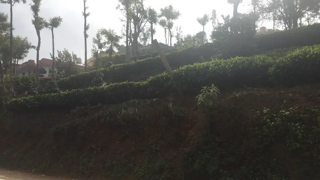 Thai Resorts Kotagiri