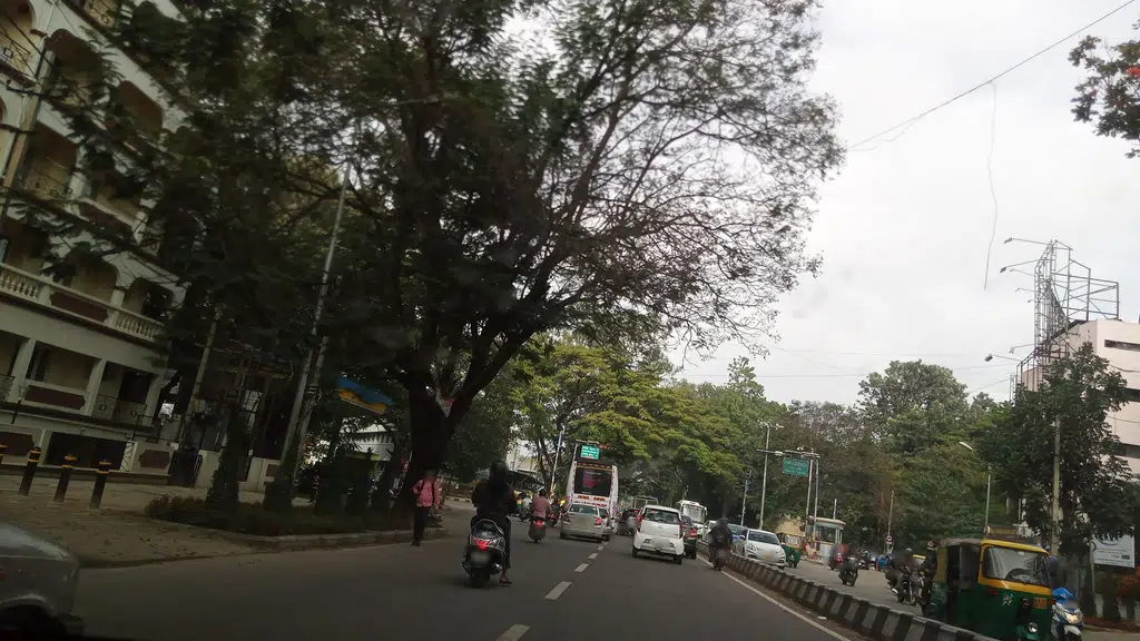 DreamZone School of Creative Studies