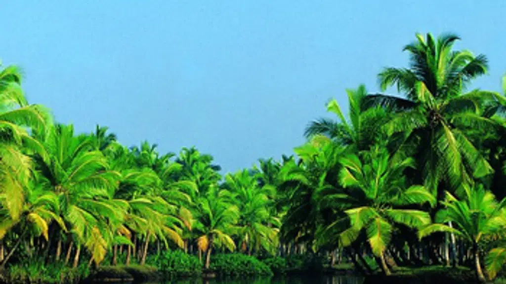 Indian Air Travels